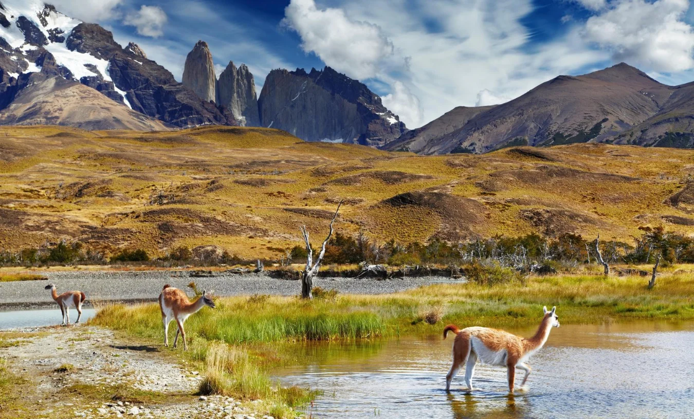 Chile1