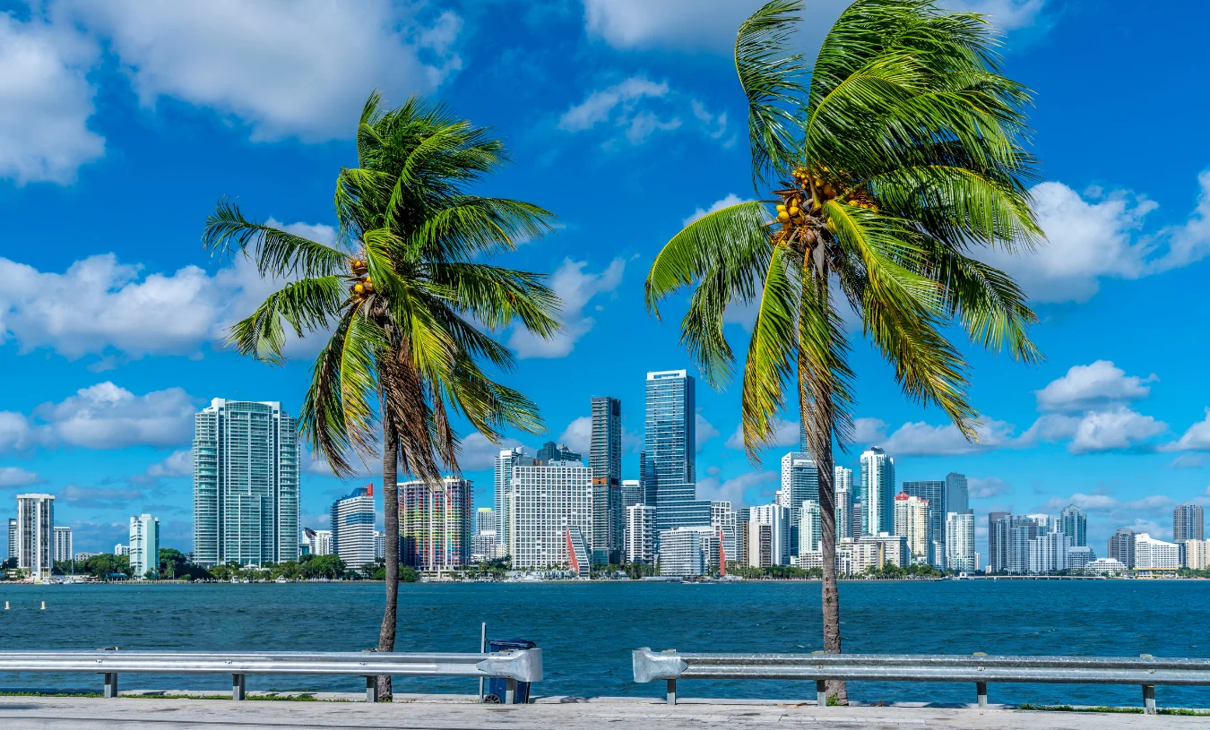 miami1