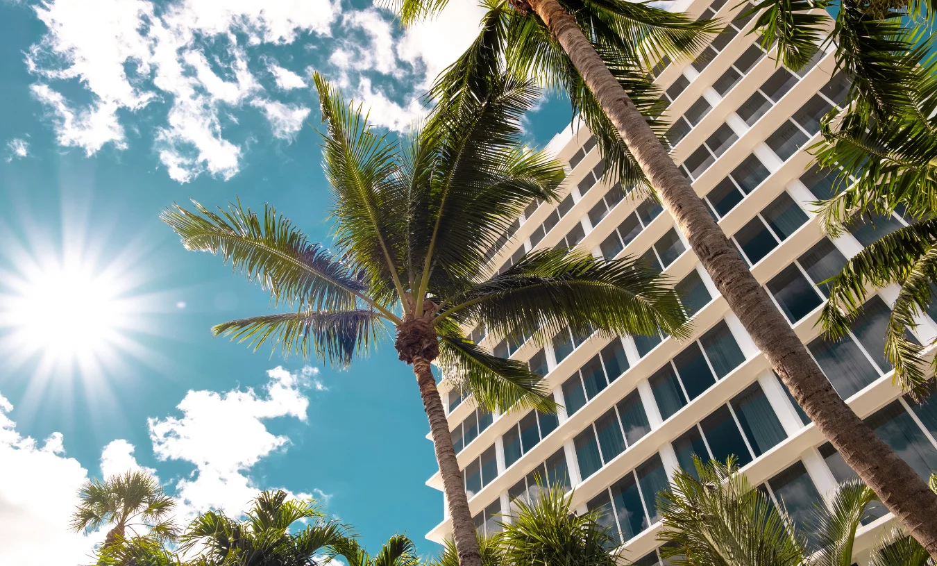 miami3